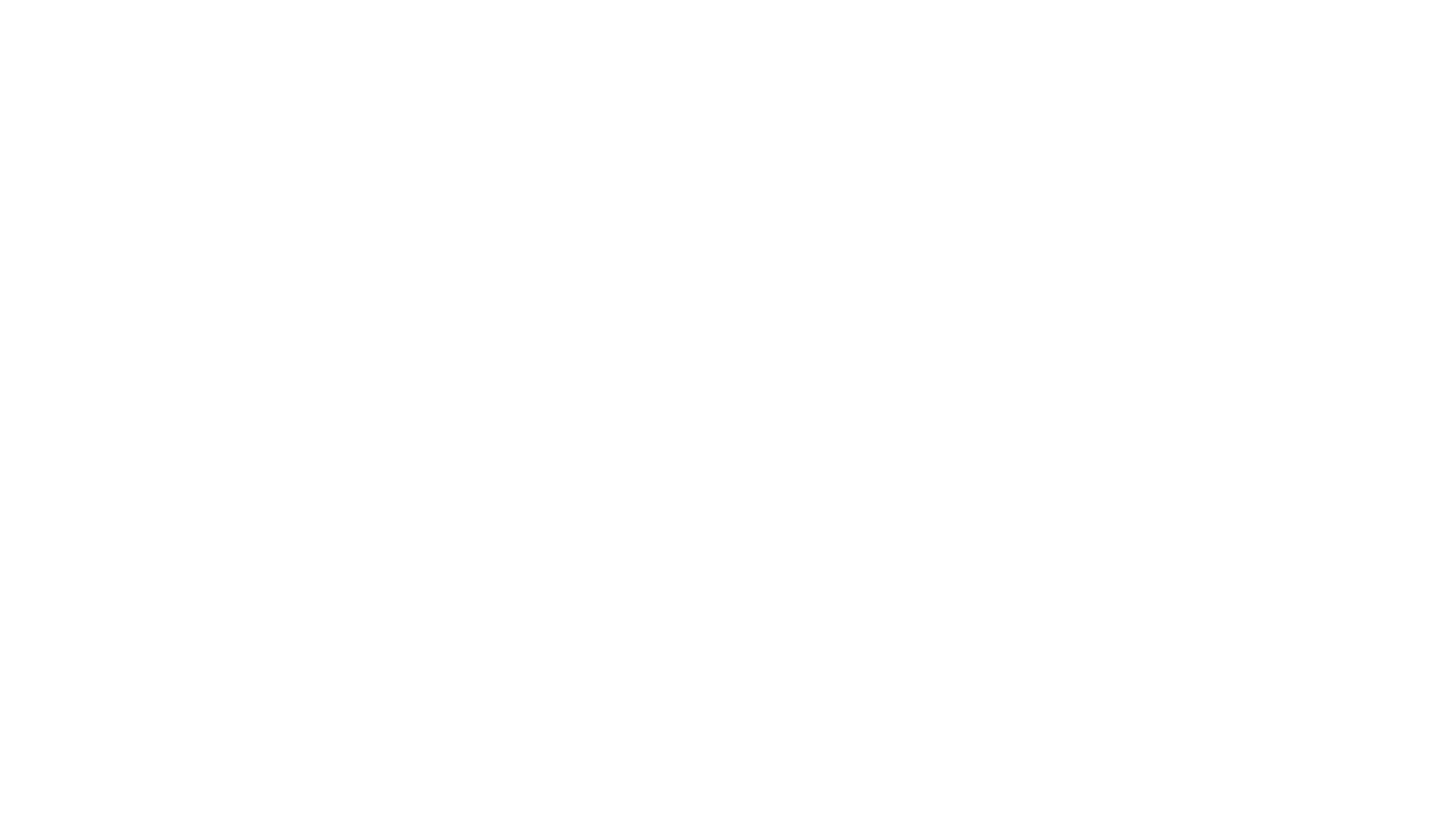Logo NERDSPIRIT